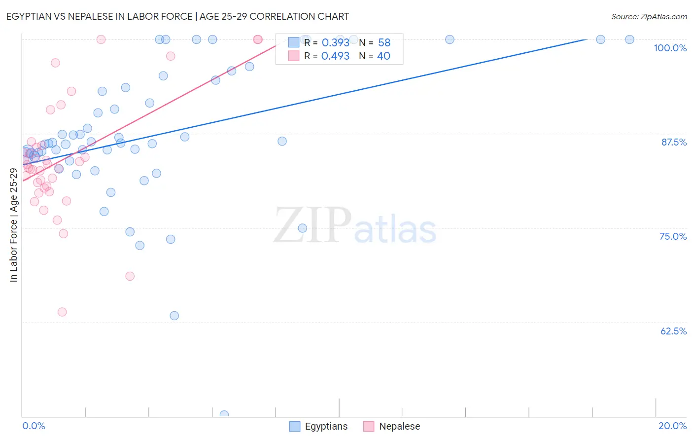 Egyptian vs Nepalese In Labor Force | Age 25-29