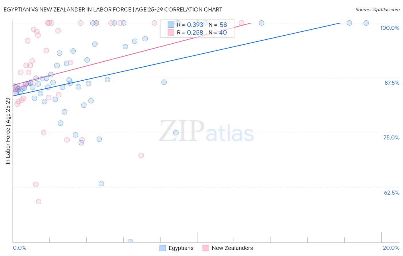 Egyptian vs New Zealander In Labor Force | Age 25-29