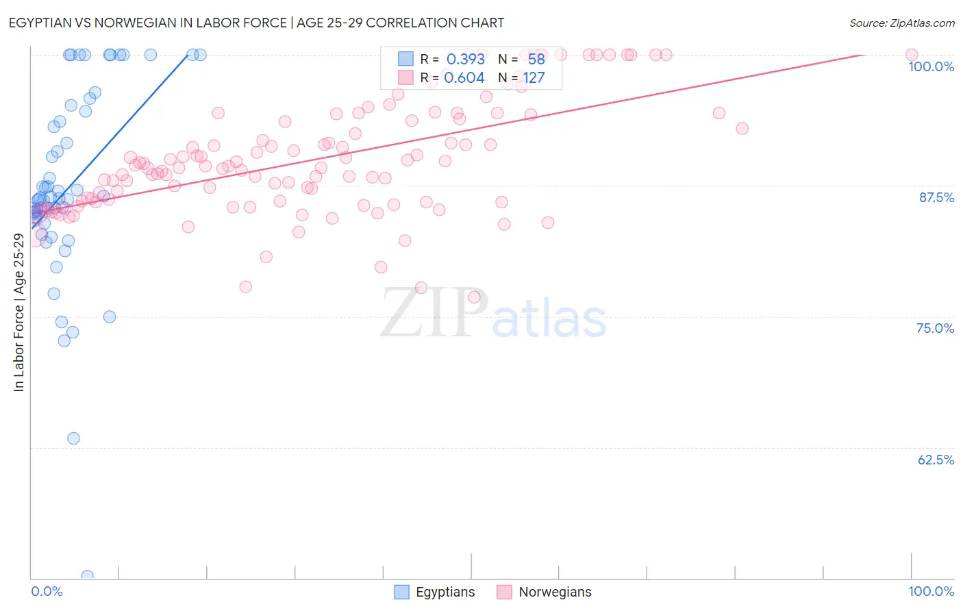 Egyptian vs Norwegian In Labor Force | Age 25-29