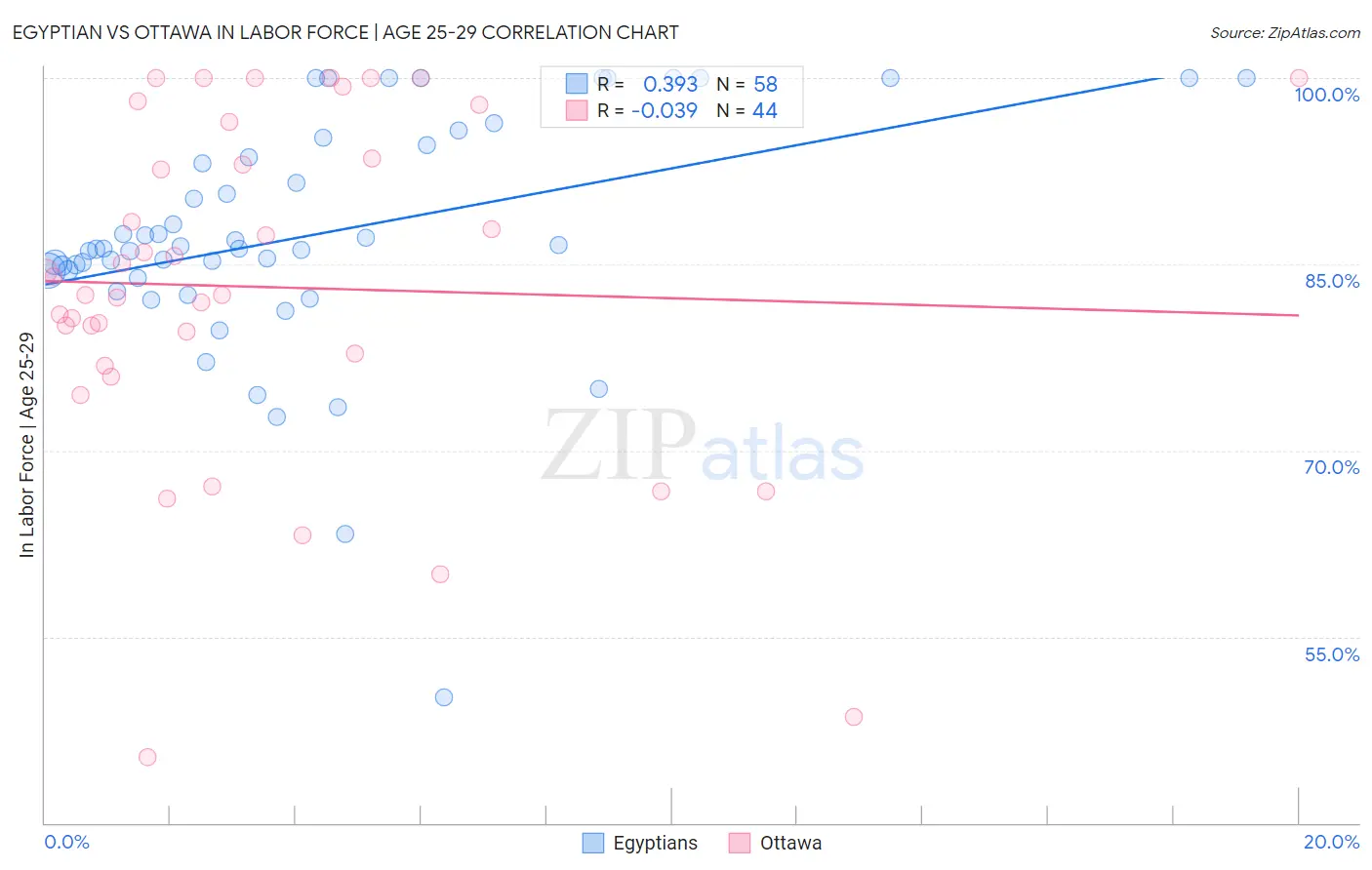 Egyptian vs Ottawa In Labor Force | Age 25-29