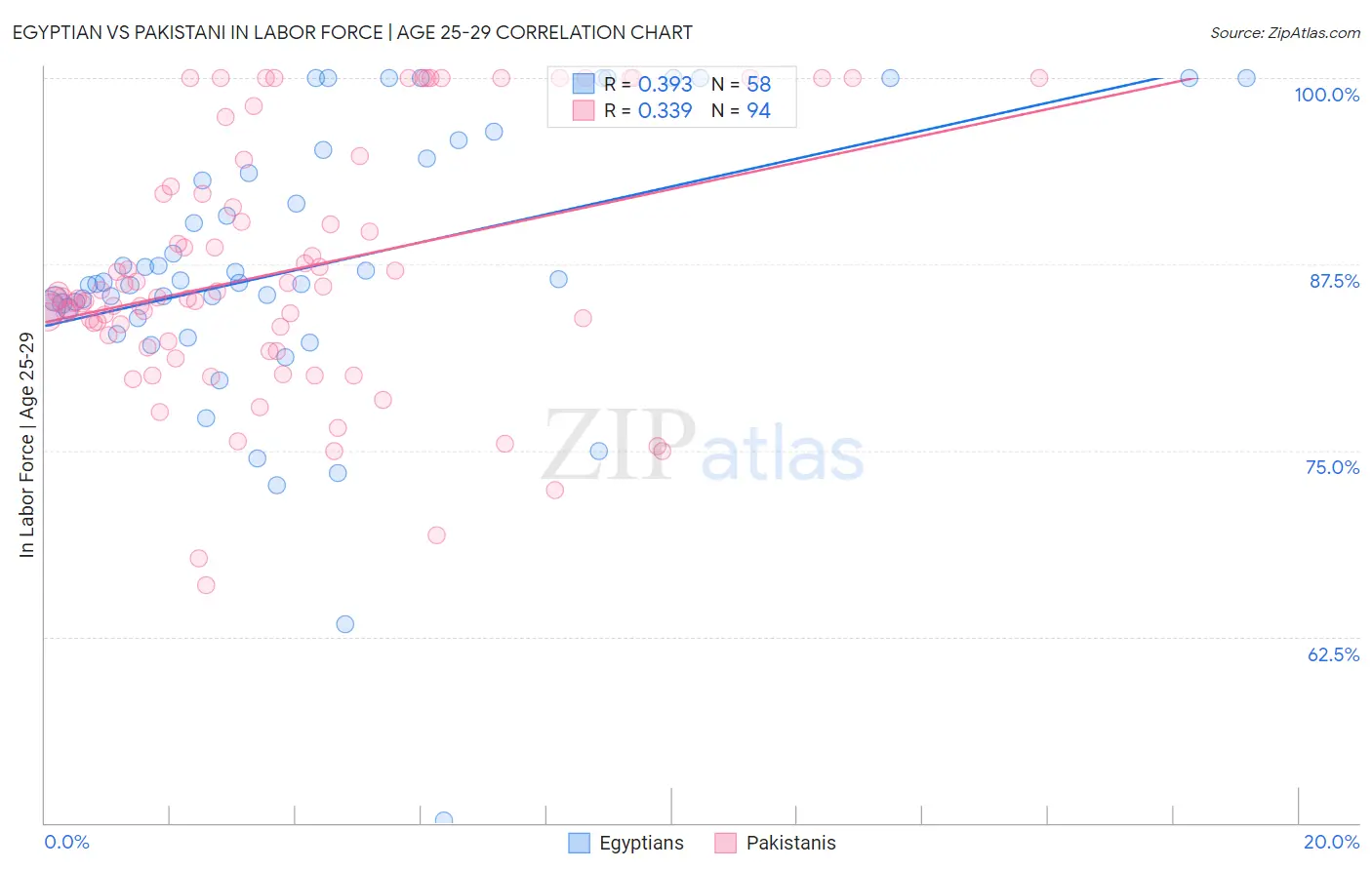 Egyptian vs Pakistani In Labor Force | Age 25-29