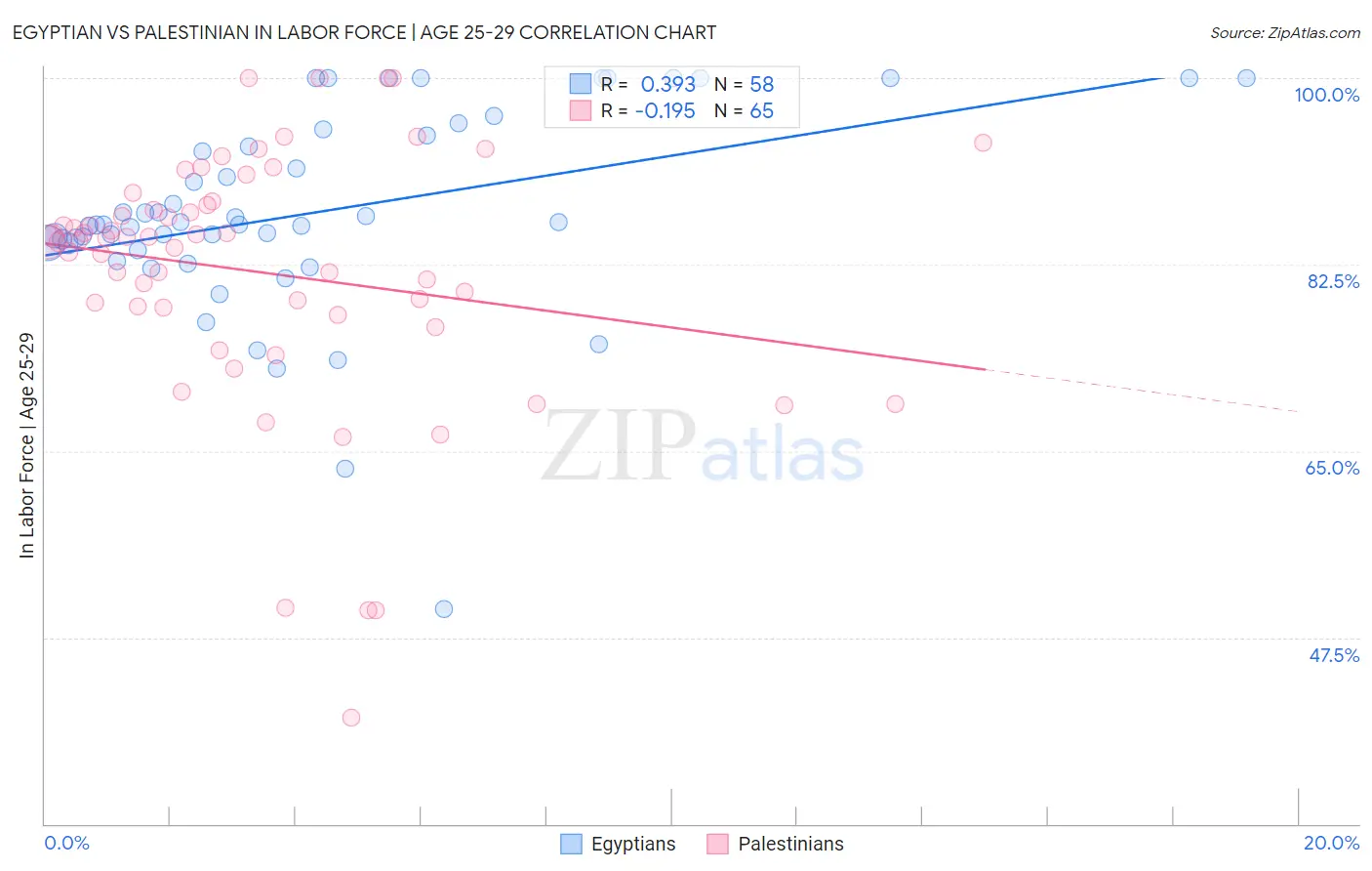 Egyptian vs Palestinian In Labor Force | Age 25-29