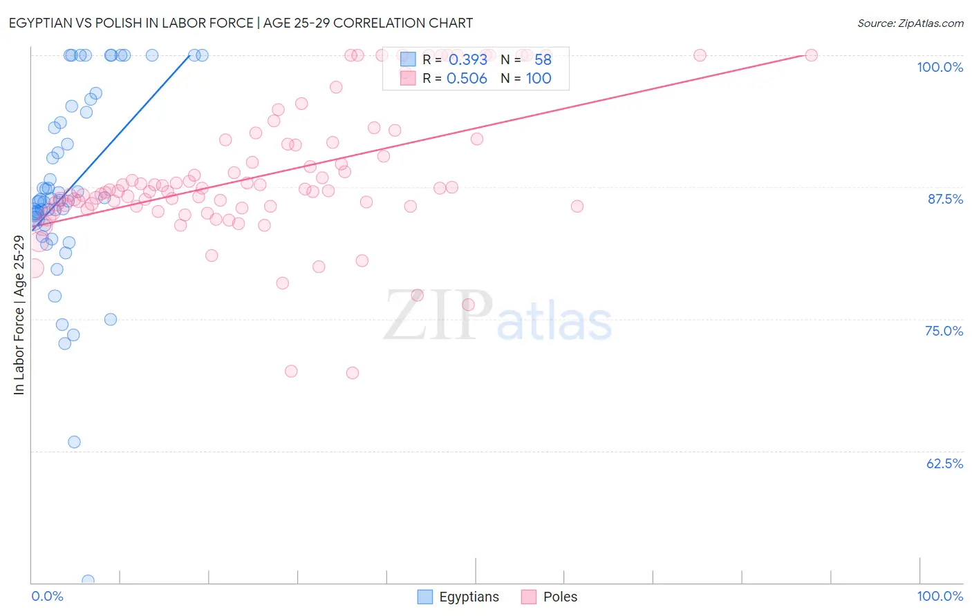 Egyptian vs Polish In Labor Force | Age 25-29