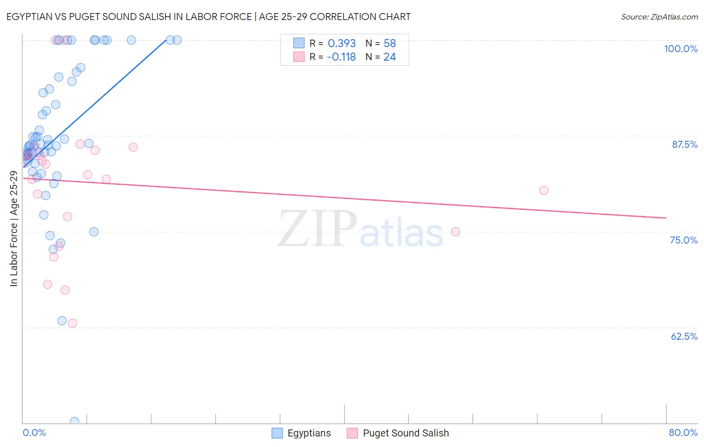Egyptian vs Puget Sound Salish In Labor Force | Age 25-29