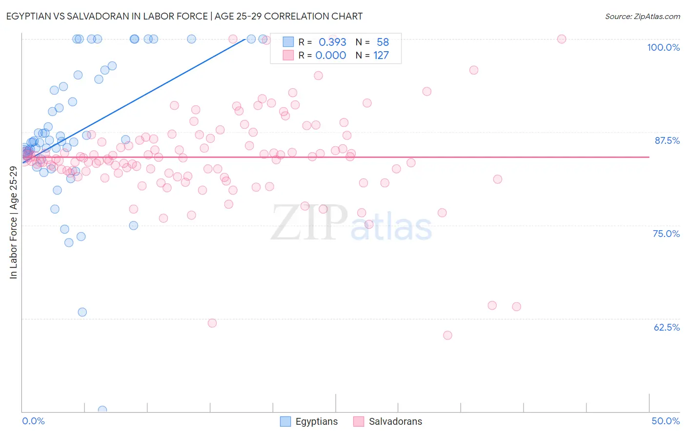 Egyptian vs Salvadoran In Labor Force | Age 25-29