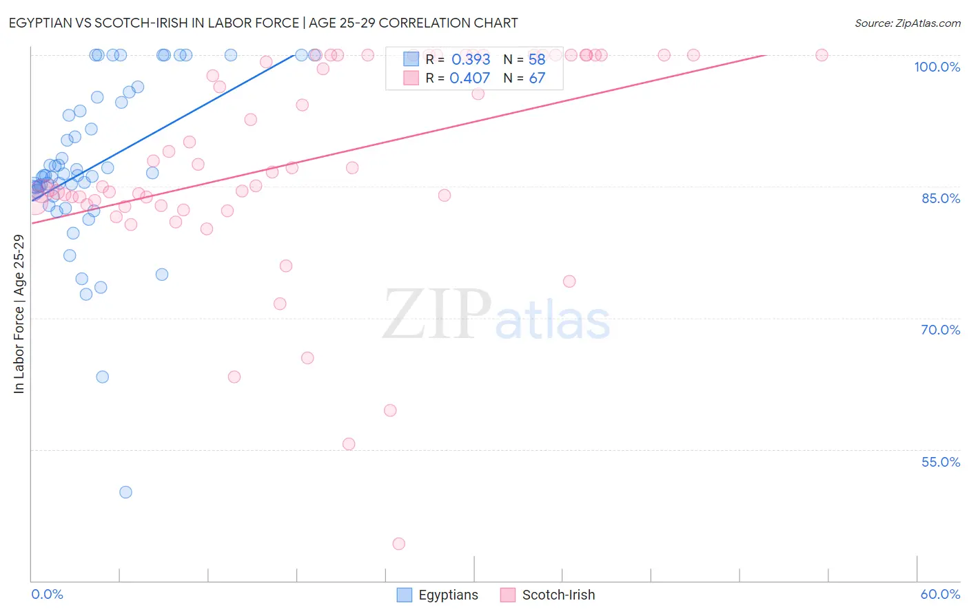 Egyptian vs Scotch-Irish In Labor Force | Age 25-29