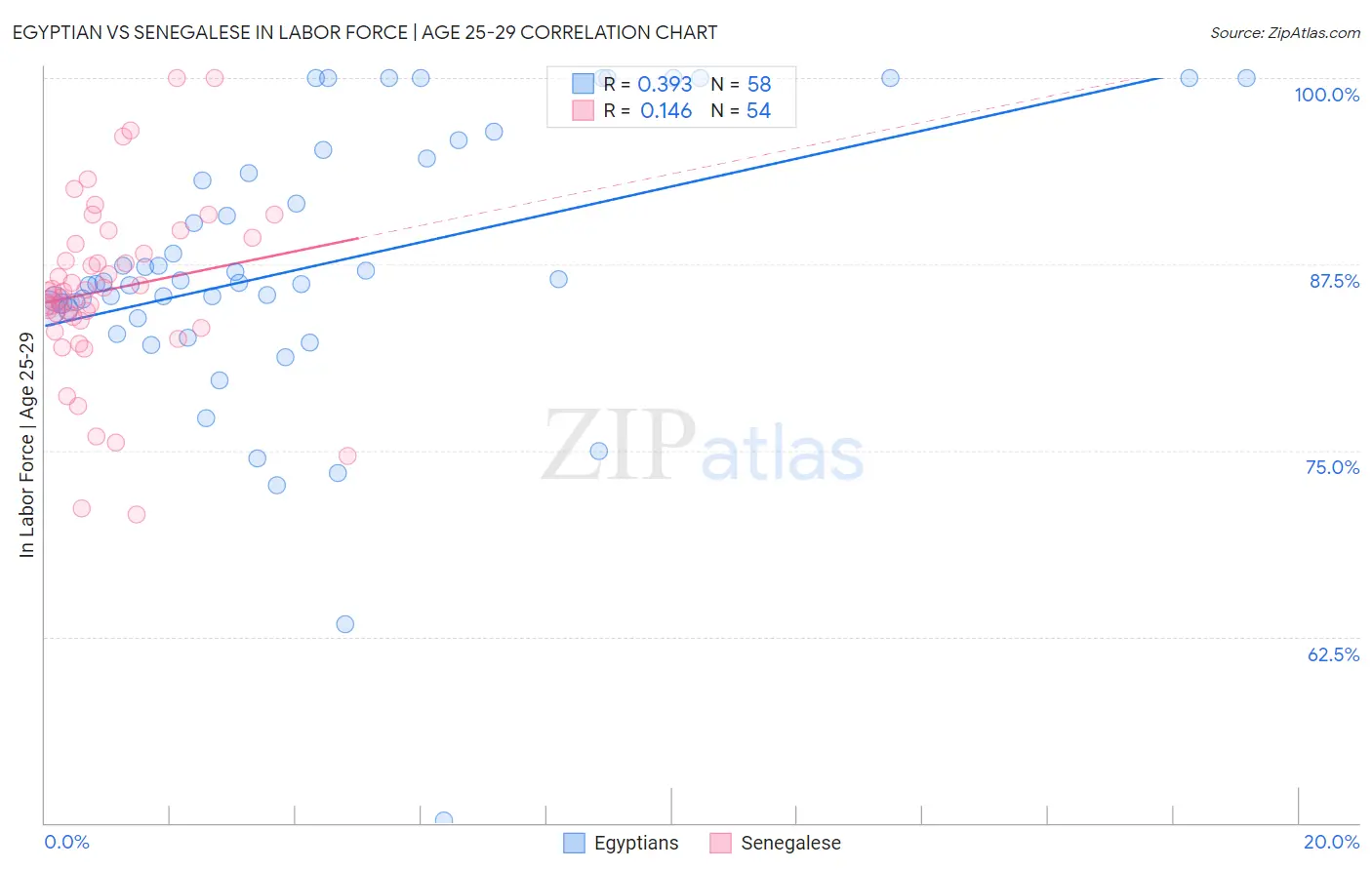 Egyptian vs Senegalese In Labor Force | Age 25-29