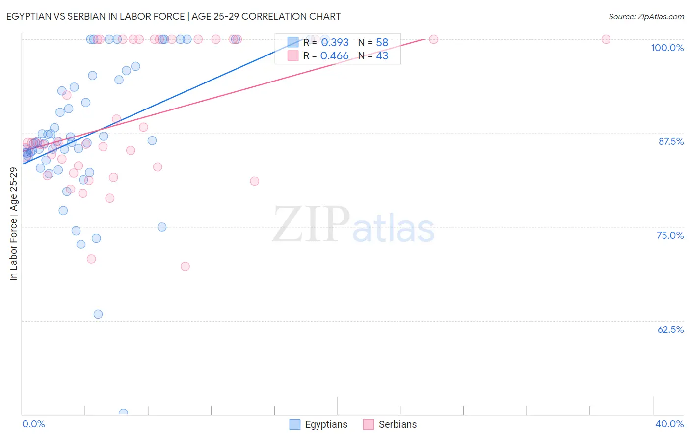 Egyptian vs Serbian In Labor Force | Age 25-29