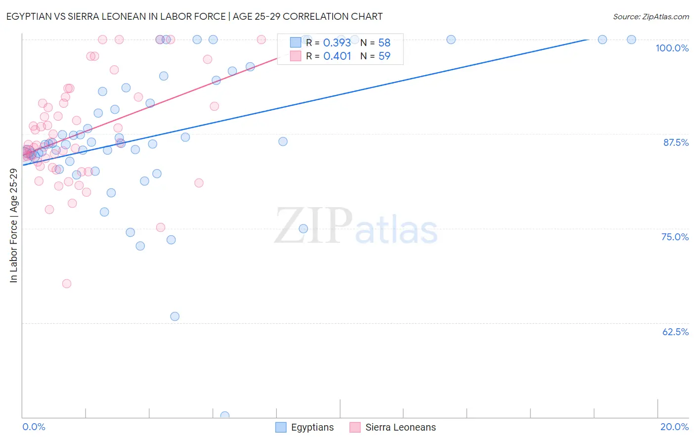 Egyptian vs Sierra Leonean In Labor Force | Age 25-29