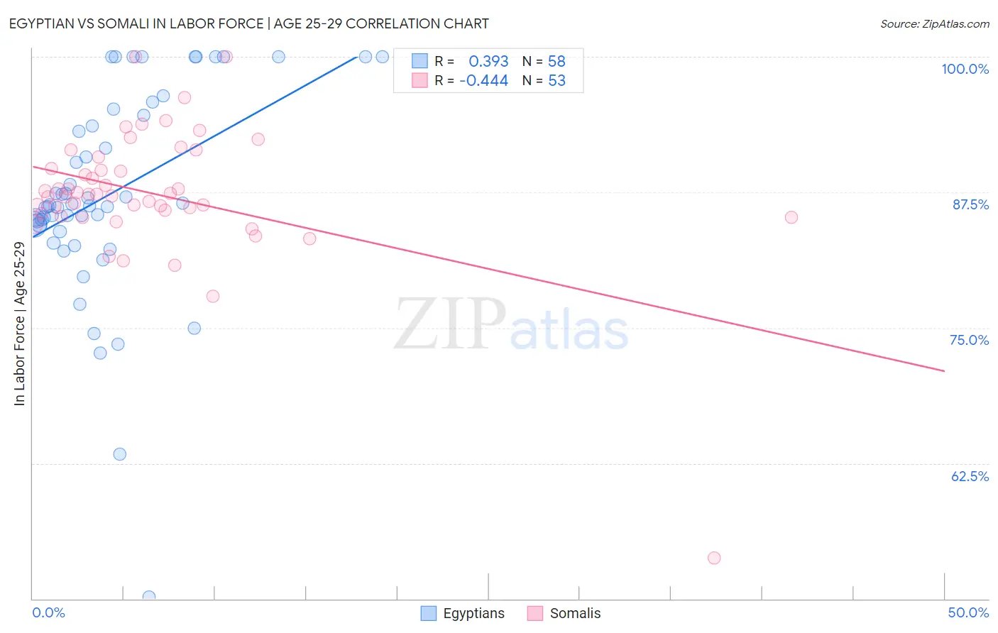 Egyptian vs Somali In Labor Force | Age 25-29