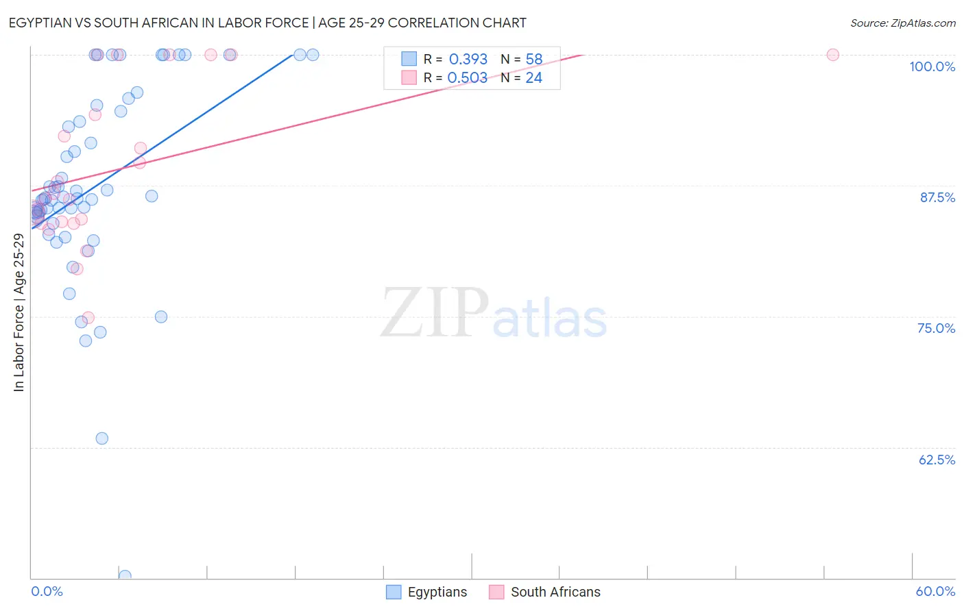 Egyptian vs South African In Labor Force | Age 25-29