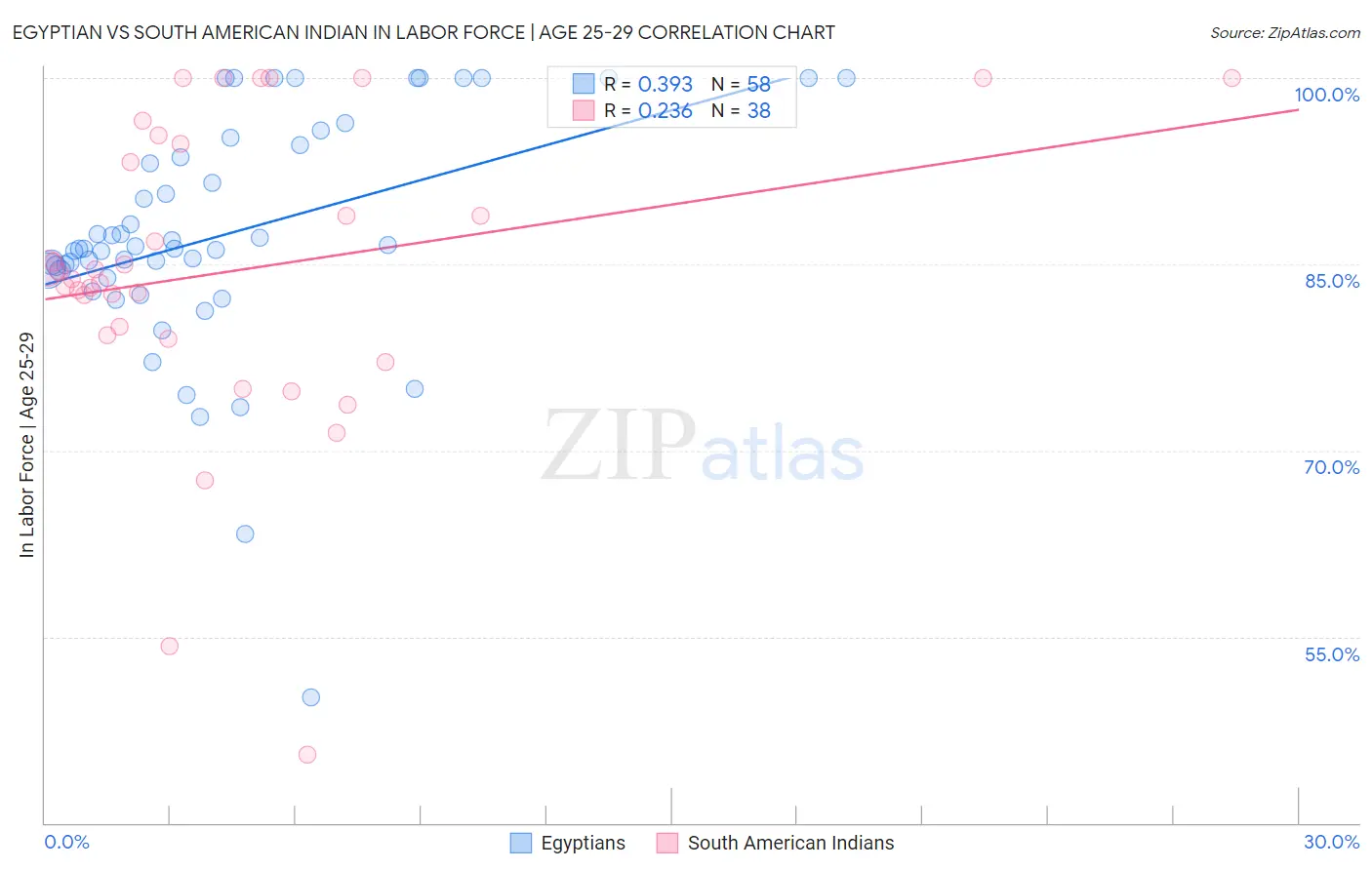 Egyptian vs South American Indian In Labor Force | Age 25-29