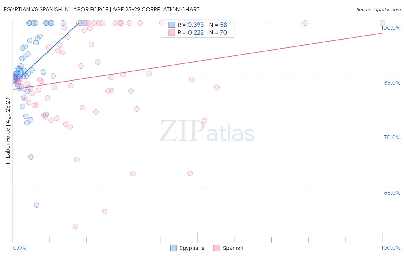 Egyptian vs Spanish In Labor Force | Age 25-29