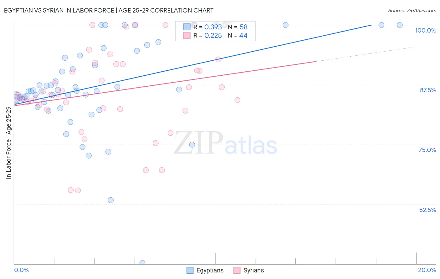 Egyptian vs Syrian In Labor Force | Age 25-29