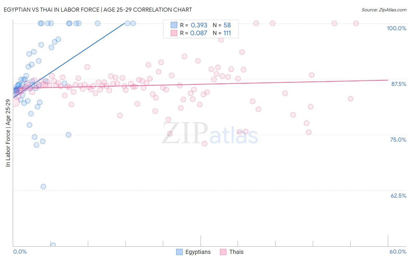 Egyptian vs Thai In Labor Force | Age 25-29