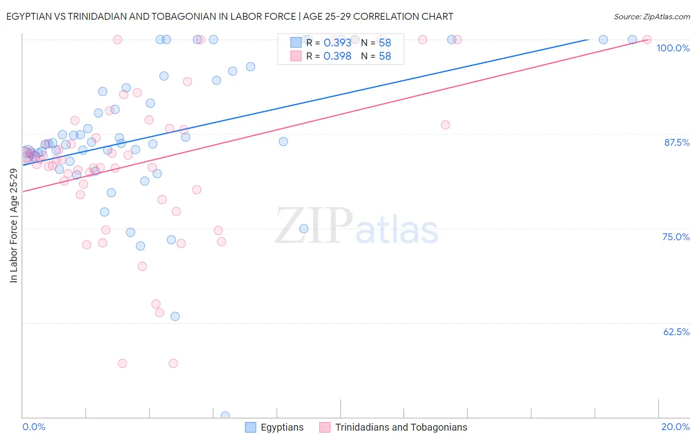 Egyptian vs Trinidadian and Tobagonian In Labor Force | Age 25-29