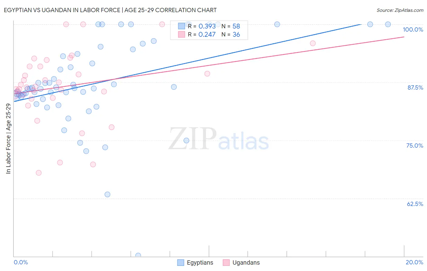 Egyptian vs Ugandan In Labor Force | Age 25-29