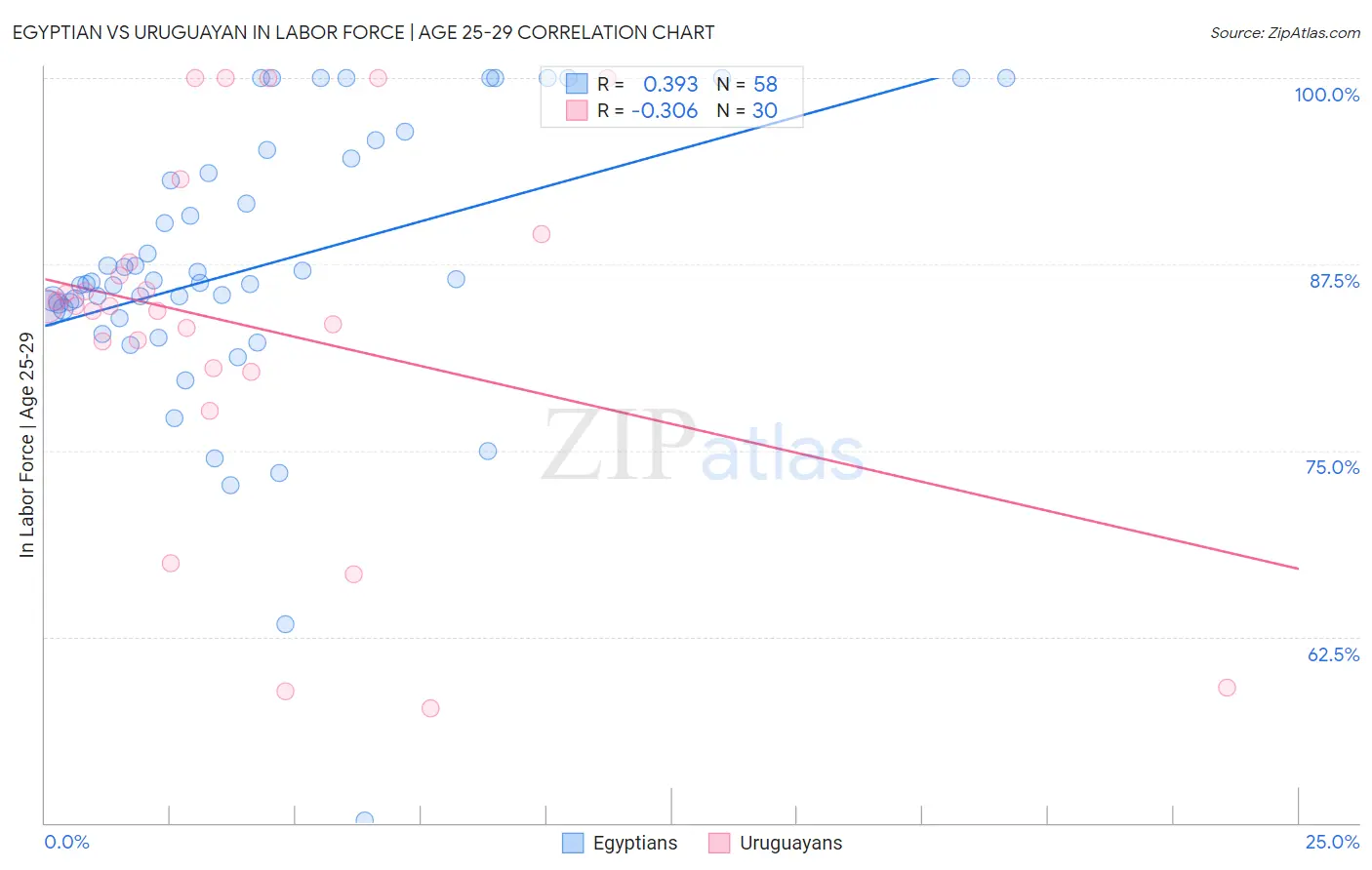 Egyptian vs Uruguayan In Labor Force | Age 25-29