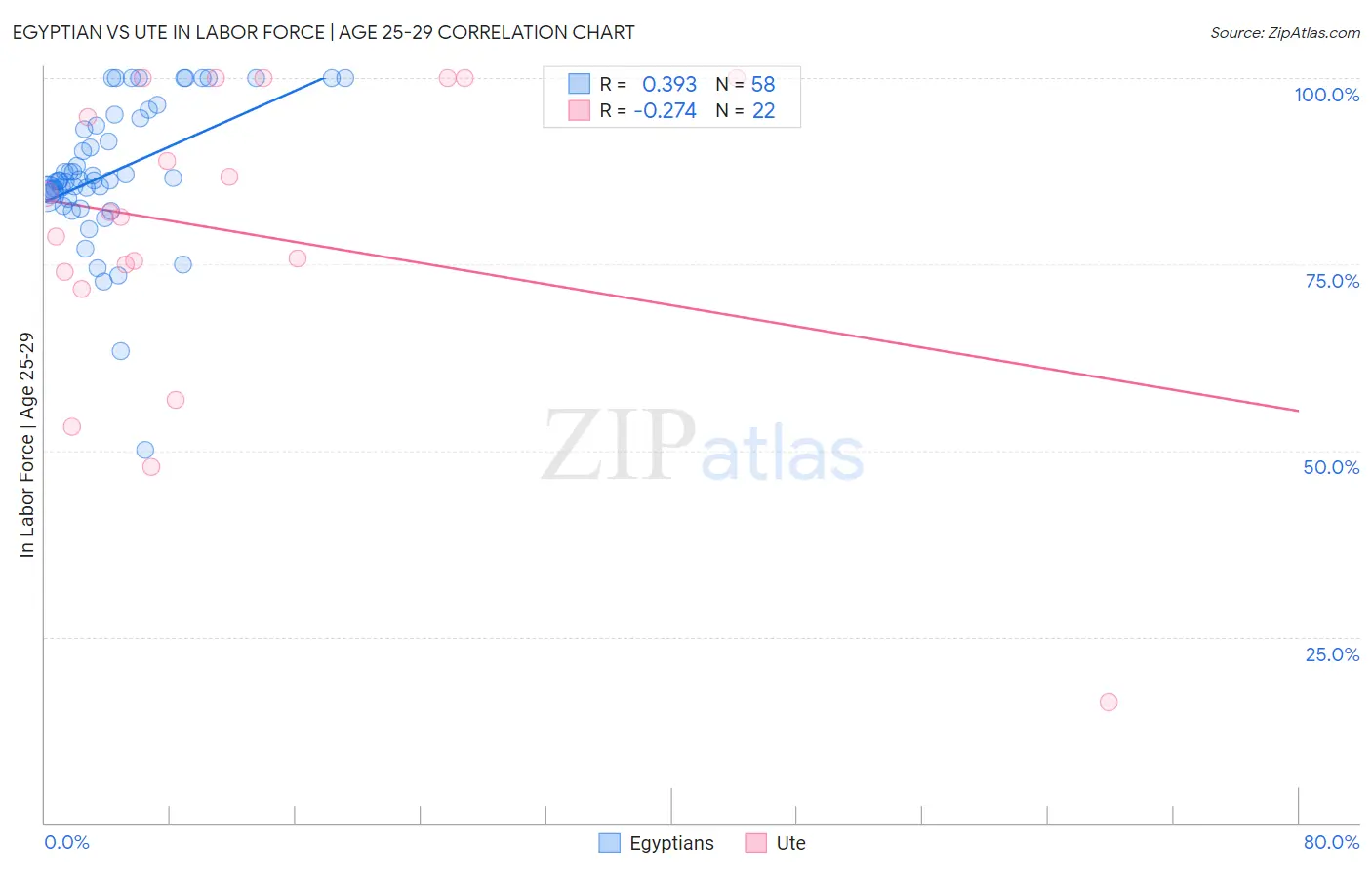 Egyptian vs Ute In Labor Force | Age 25-29