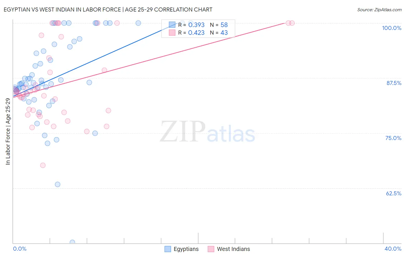 Egyptian vs West Indian In Labor Force | Age 25-29