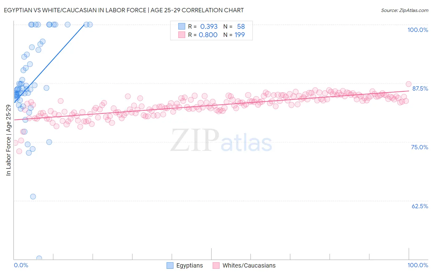 Egyptian vs White/Caucasian In Labor Force | Age 25-29