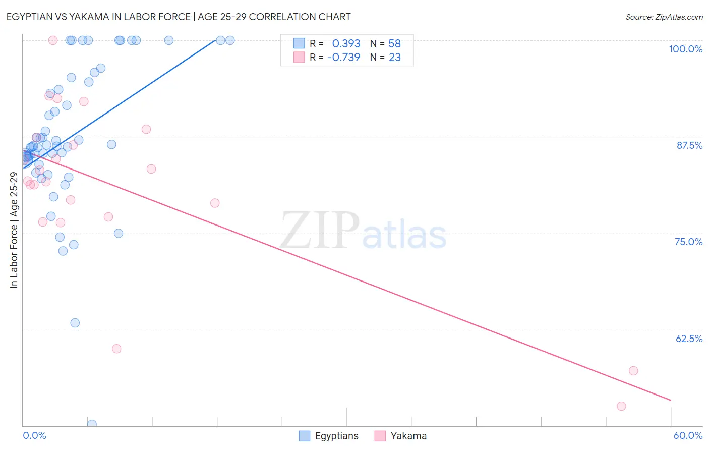 Egyptian vs Yakama In Labor Force | Age 25-29