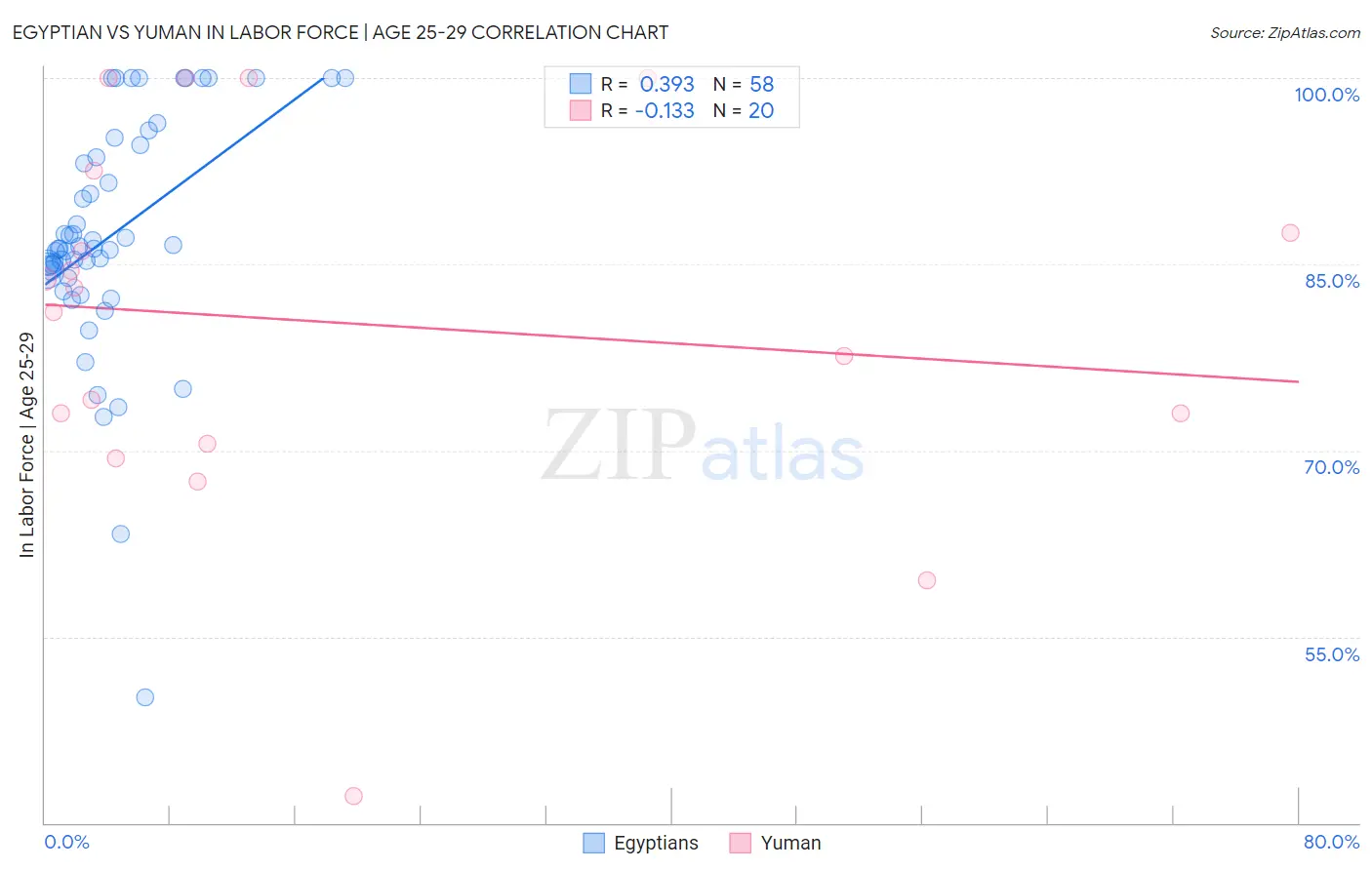 Egyptian vs Yuman In Labor Force | Age 25-29