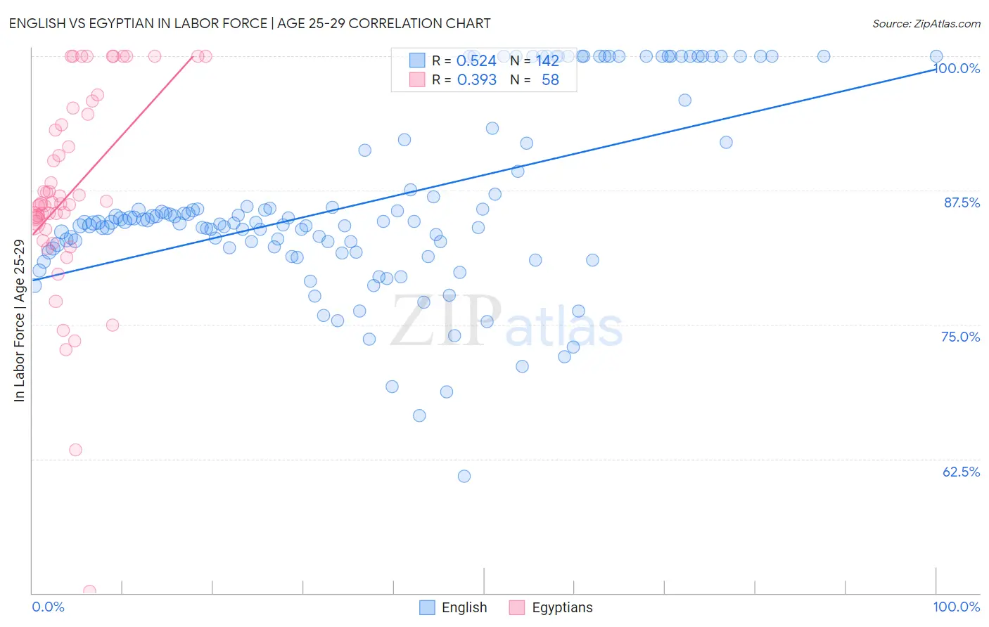 English vs Egyptian In Labor Force | Age 25-29