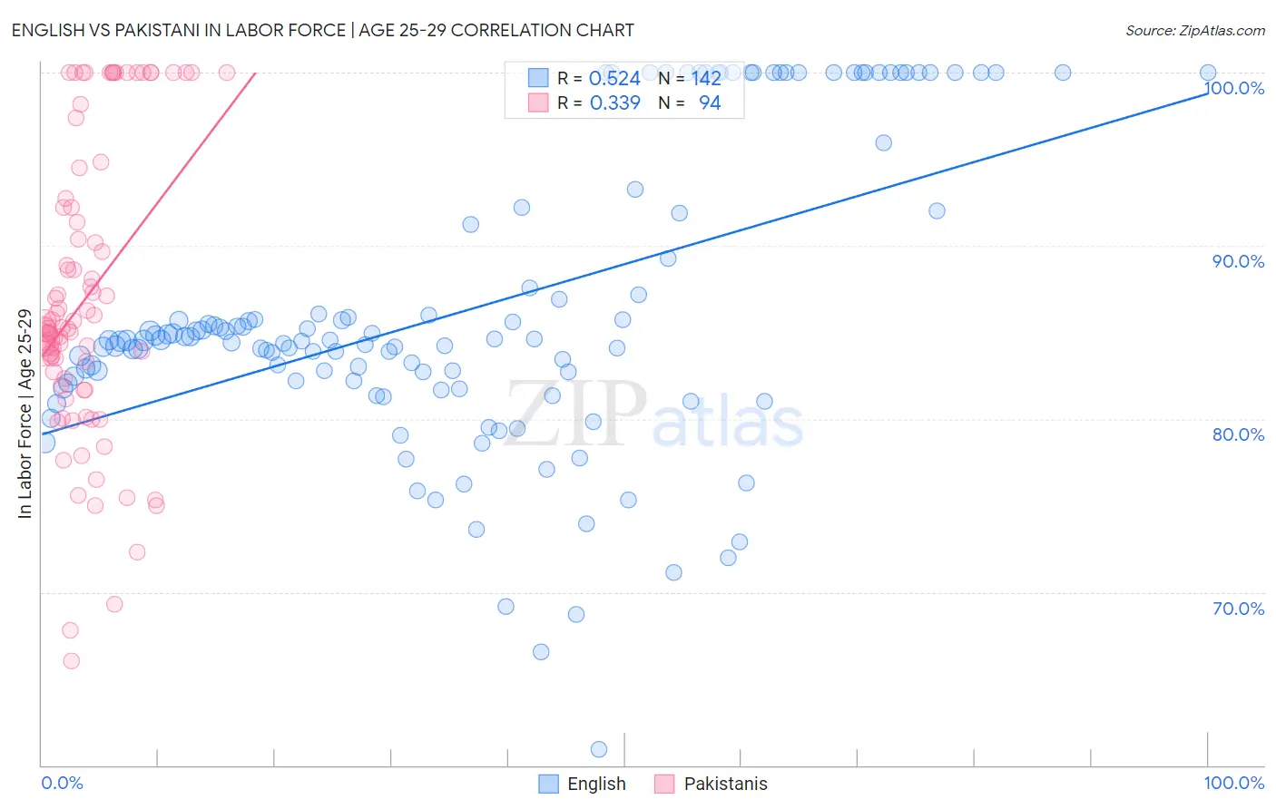 English vs Pakistani In Labor Force | Age 25-29