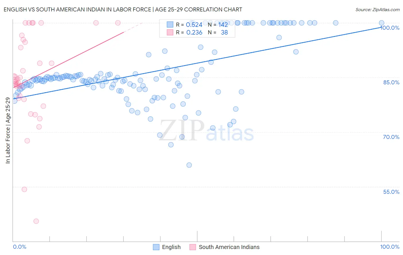 English vs South American Indian In Labor Force | Age 25-29