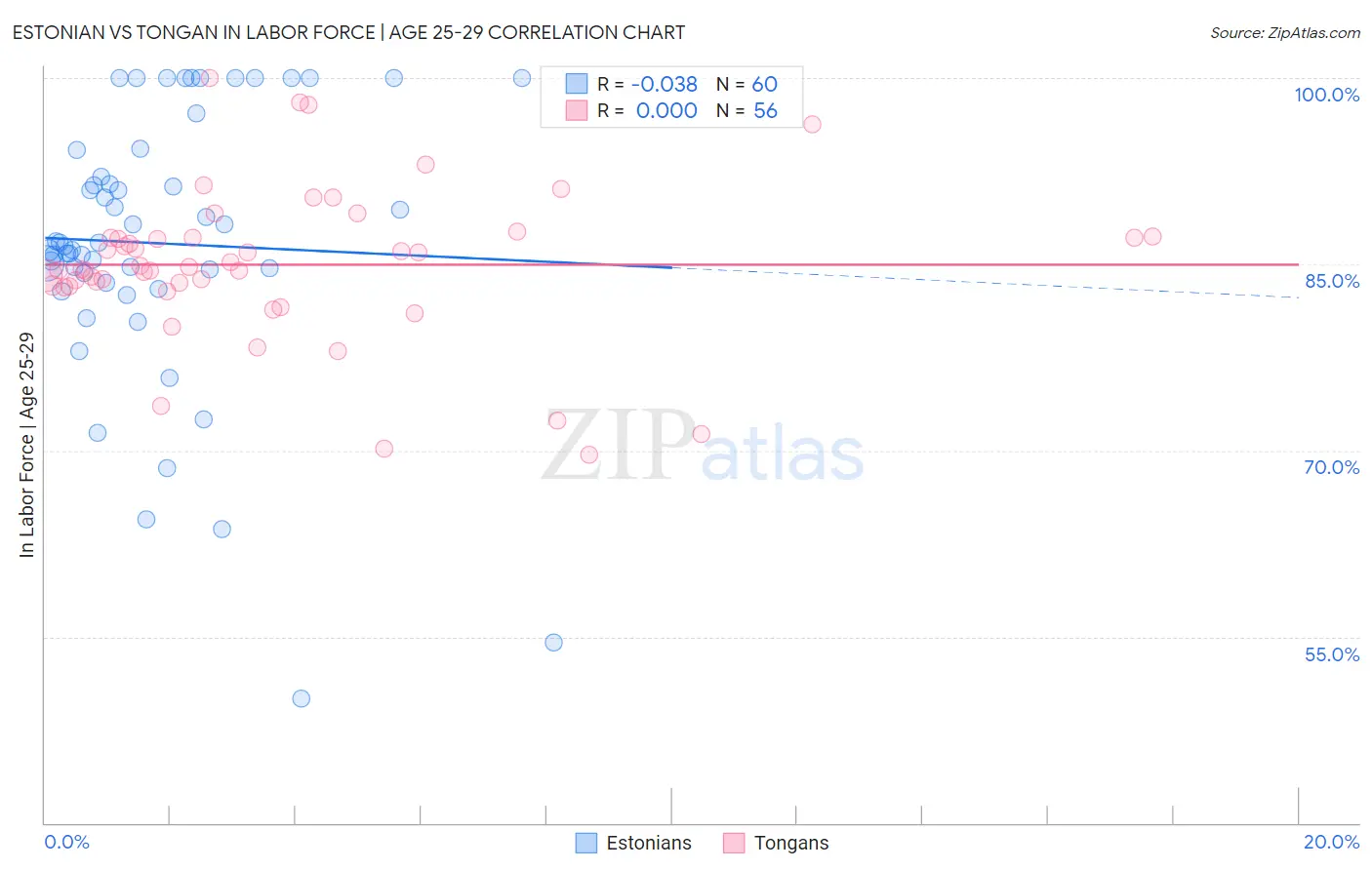 Estonian vs Tongan In Labor Force | Age 25-29