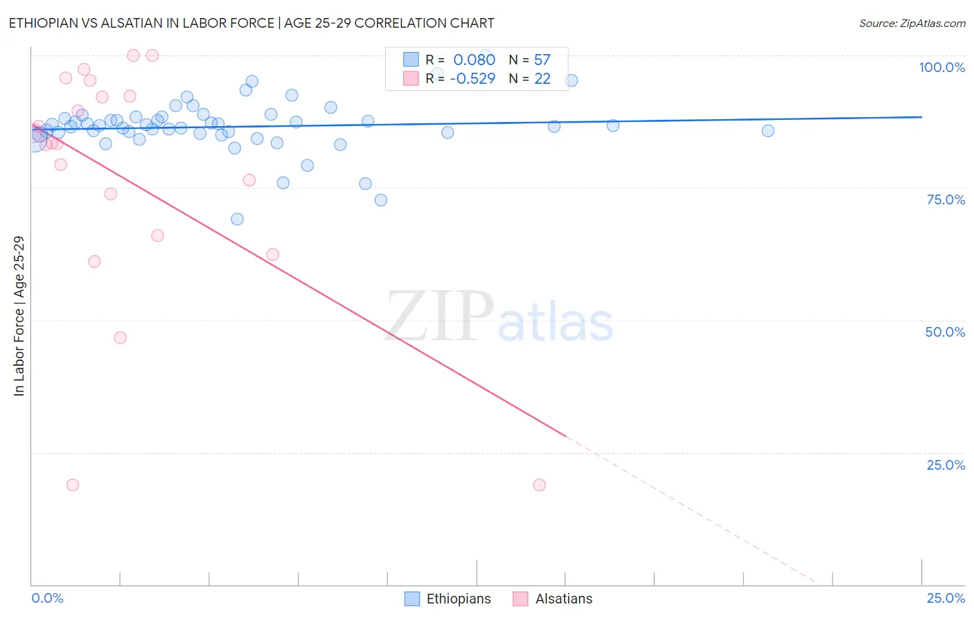 Ethiopian vs Alsatian In Labor Force | Age 25-29