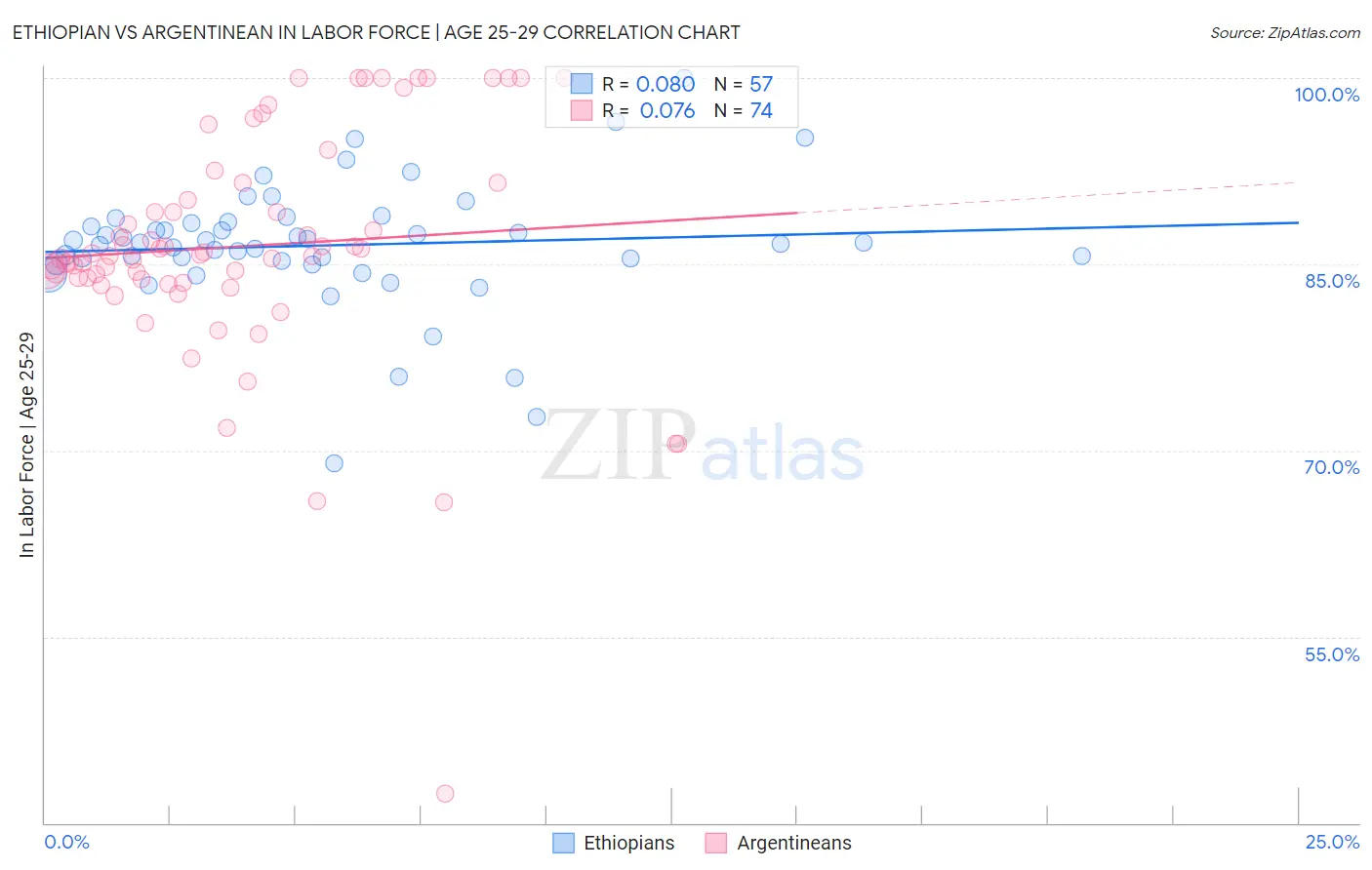 Ethiopian vs Argentinean In Labor Force | Age 25-29