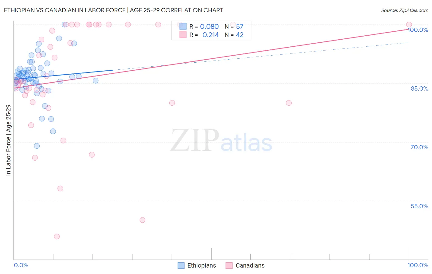 Ethiopian vs Canadian In Labor Force | Age 25-29