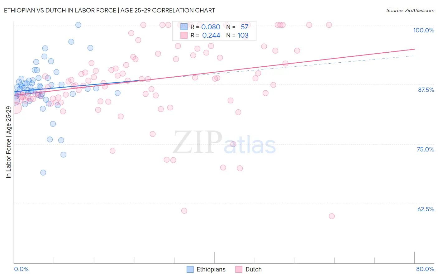 Ethiopian vs Dutch In Labor Force | Age 25-29