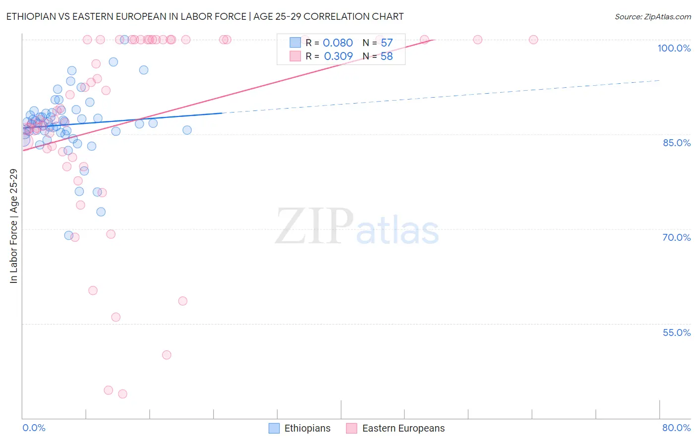 Ethiopian vs Eastern European In Labor Force | Age 25-29