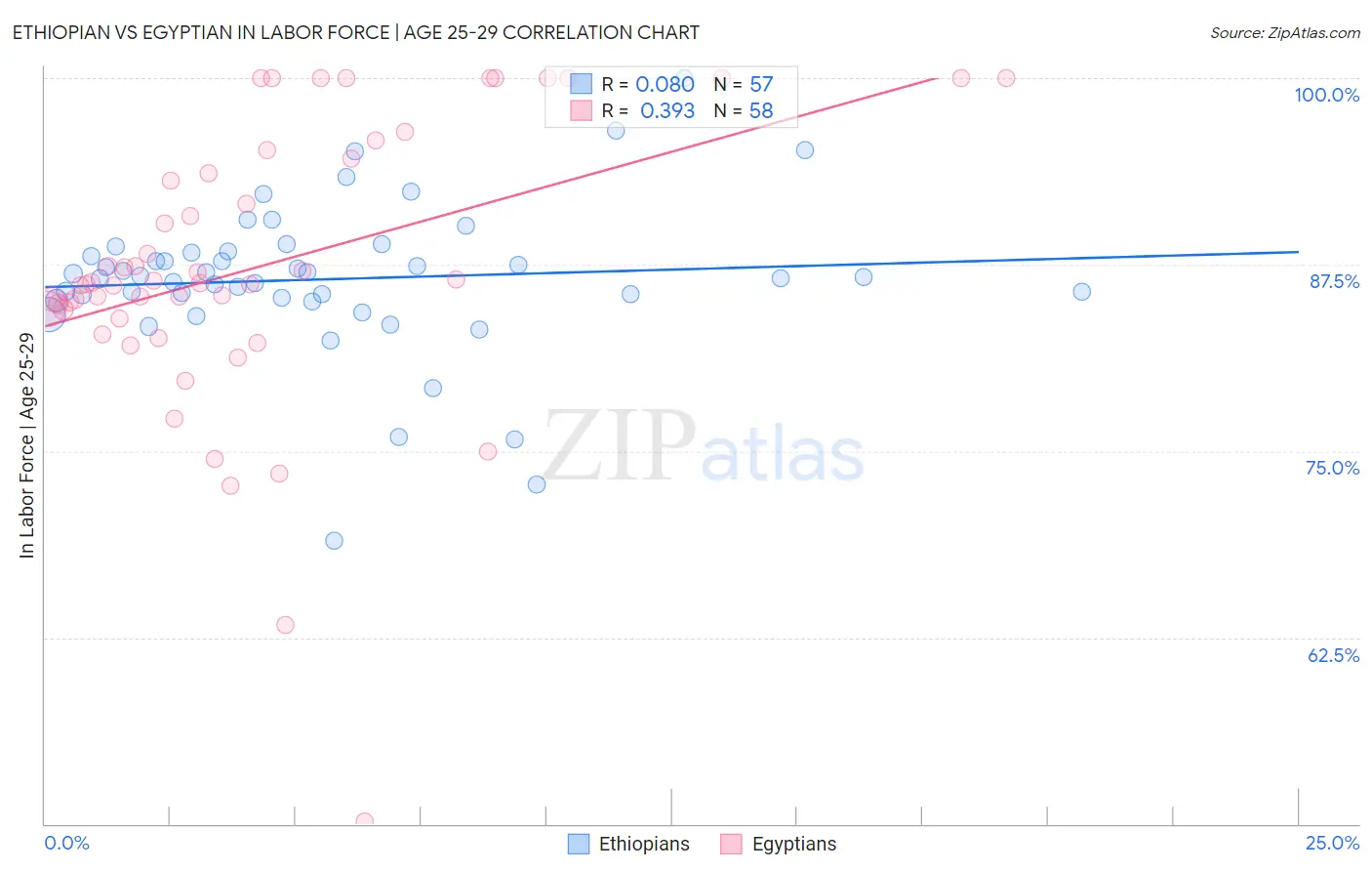 Ethiopian vs Egyptian In Labor Force | Age 25-29