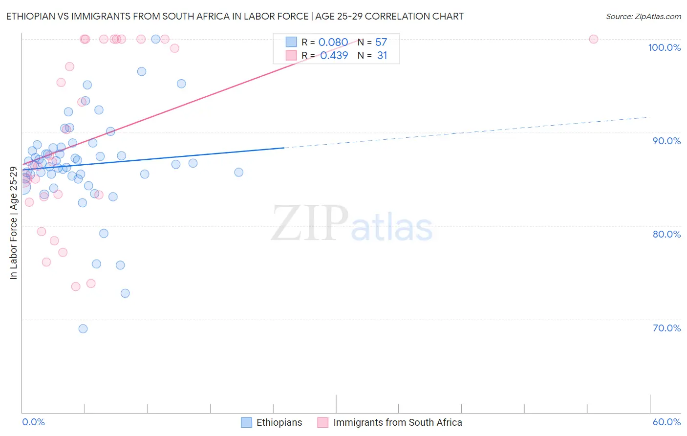 Ethiopian vs Immigrants from South Africa In Labor Force | Age 25-29