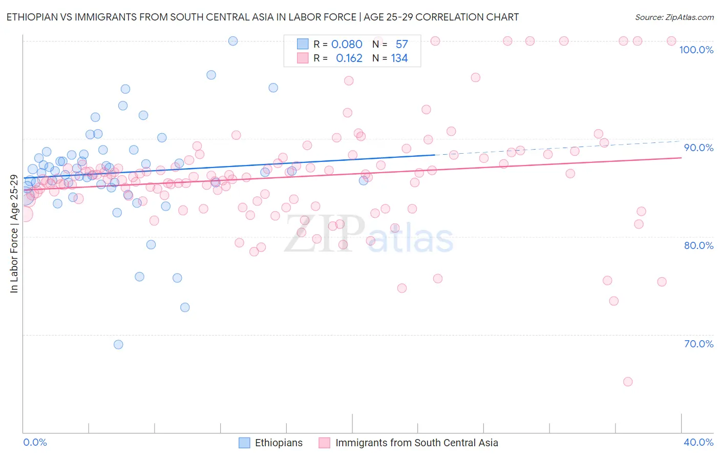 Ethiopian vs Immigrants from South Central Asia In Labor Force | Age 25-29