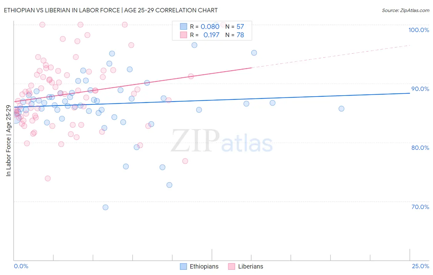 Ethiopian vs Liberian In Labor Force | Age 25-29