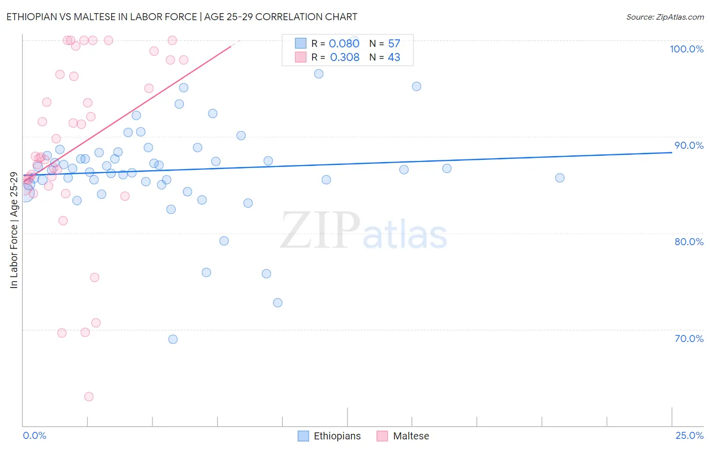 Ethiopian vs Maltese In Labor Force | Age 25-29