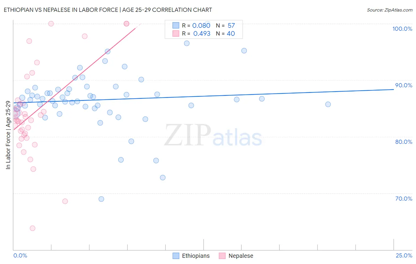 Ethiopian vs Nepalese In Labor Force | Age 25-29