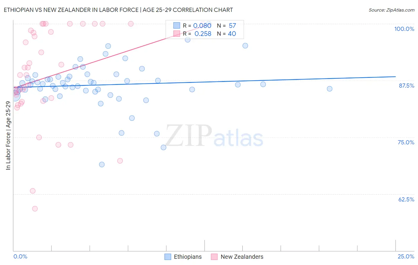 Ethiopian vs New Zealander In Labor Force | Age 25-29