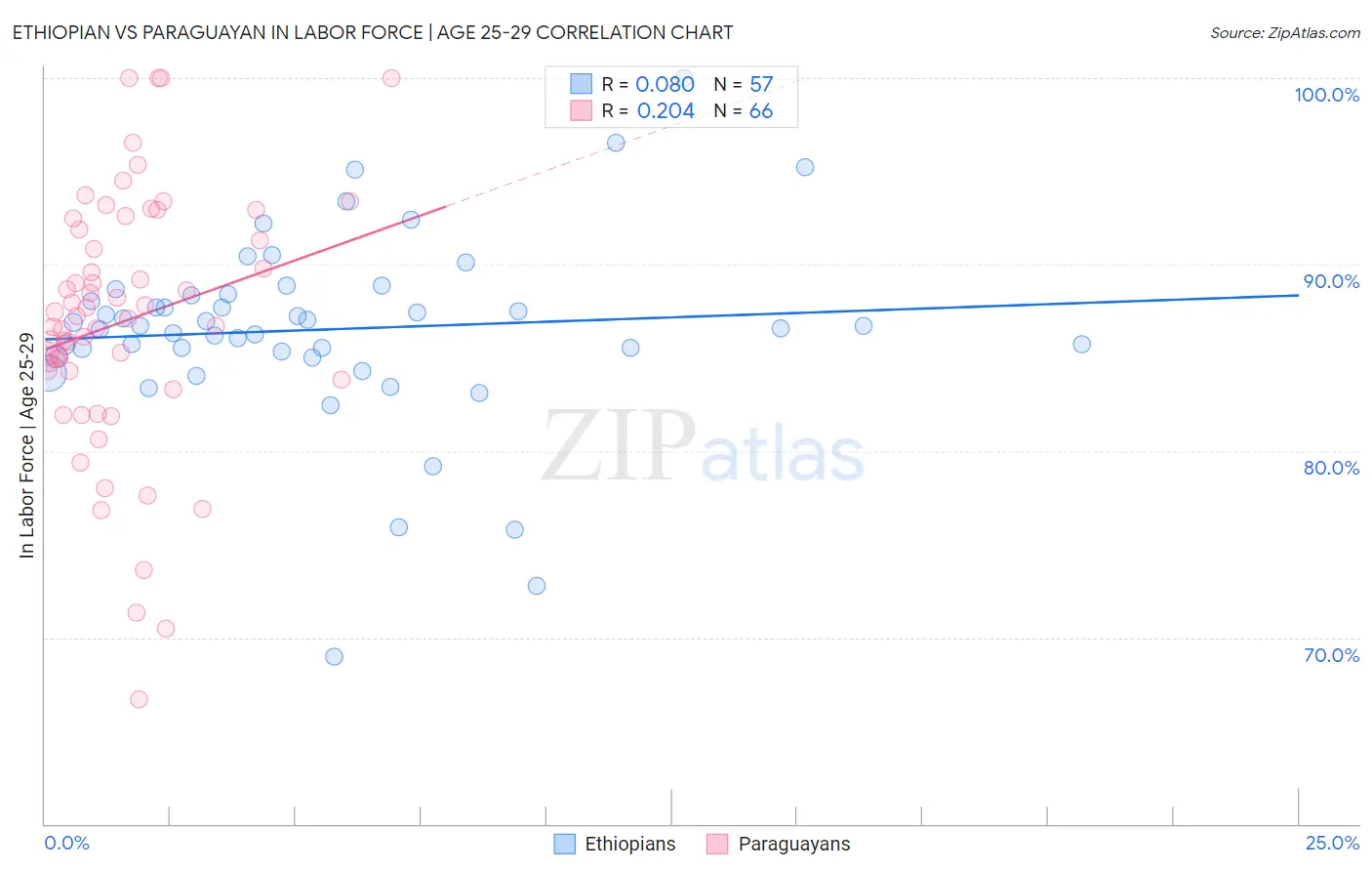 Ethiopian vs Paraguayan In Labor Force | Age 25-29