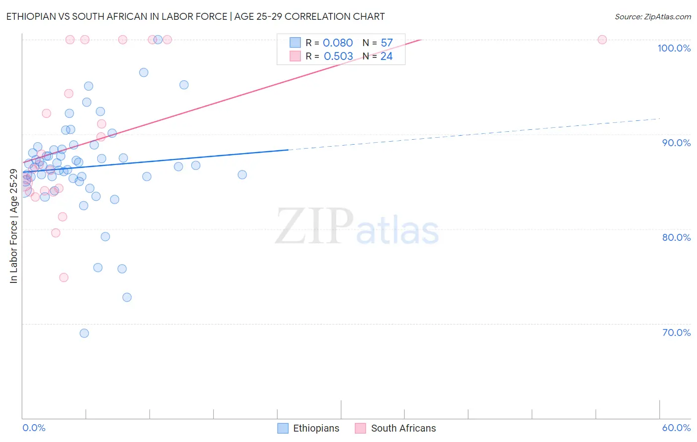 Ethiopian vs South African In Labor Force | Age 25-29