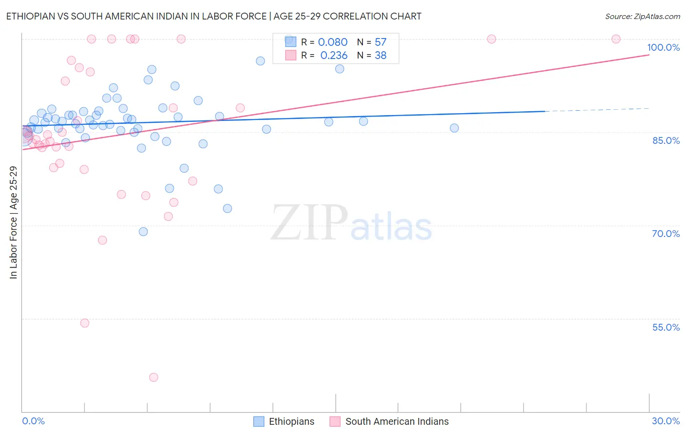 Ethiopian vs South American Indian In Labor Force | Age 25-29