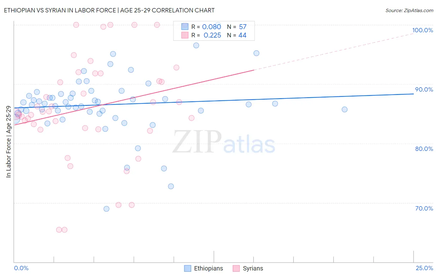 Ethiopian vs Syrian In Labor Force | Age 25-29