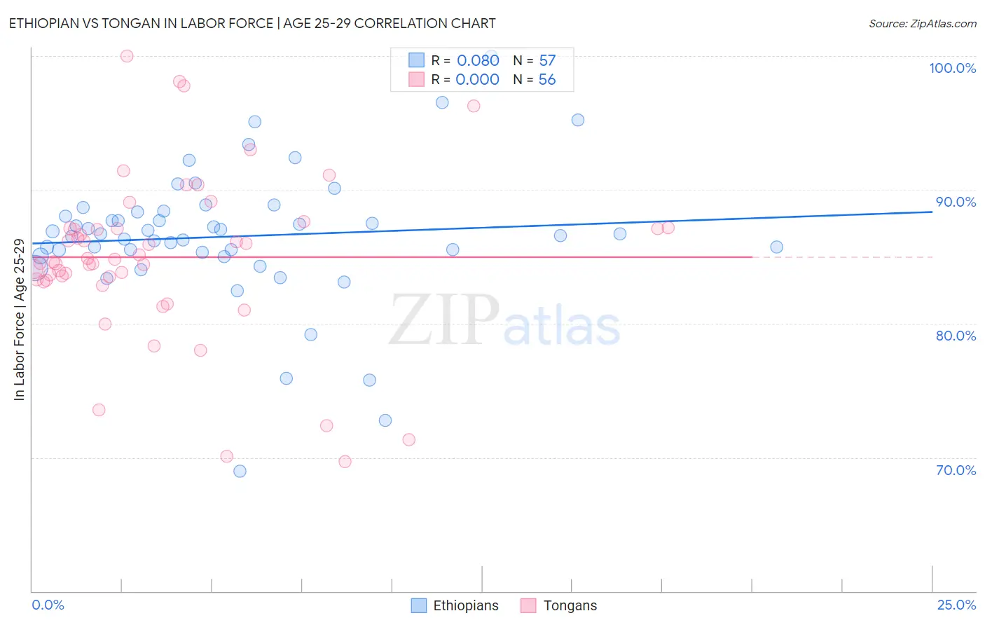 Ethiopian vs Tongan In Labor Force | Age 25-29