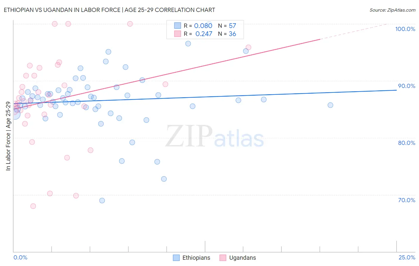 Ethiopian vs Ugandan In Labor Force | Age 25-29