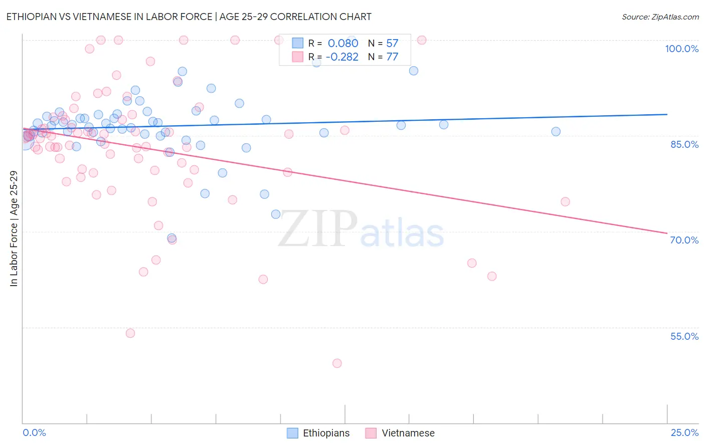 Ethiopian vs Vietnamese In Labor Force | Age 25-29
